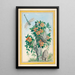 Plantes de Chine Pl058 - Pierre Joseph Buchoz — quadro incorniciato alla parete