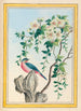Plantes de Chine Pl063 - Pierre Joseph Buchoz — vista dell’opera