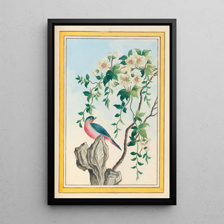 Pierre Joseph Buchoz - Plantes de Chine Pl063.webp