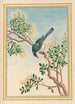 Plantes de Chine Pl068 - Pierre Joseph Buchoz — vista dell’opera
