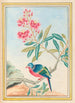 Plantes de Chine Pl072 - Pierre Joseph Buchoz — vista dell’opera