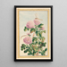 Plantes de Chine Pl074 - Pierre Joseph Buchoz — quadro incorniciato alla parete