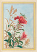 Plantes de Chine Pl077 - Pierre Joseph Buchoz — vista dell’opera