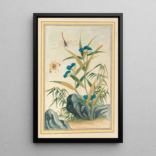 Pierre Joseph Buchoz - Plantes de Chine Pl083.webp