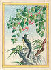 Plantes de Chine Pl090 - Pierre Joseph Buchoz — vista dell’opera