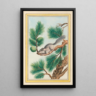 Pierre Joseph Buchoz - Plantes de Chine Pl093.webp