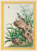 Plantes de Chine Pl095 - Pierre Joseph Buchoz — vista dell’opera