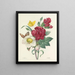 Scelta dei fiori più belli pl 037 - Pierre-Joseph Redouté — quadro incorniciato alla parete