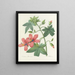 Scelta delle più belle fiori pl 041 - Pierre-Joseph Redouté — quadro incorniciato alla parete