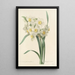 Choix des plus belles fleurs pl 053 - Pierre Joseph Redouté — quadro incorniciato alla parete