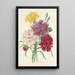 Choix des plus belles fleurs pl 057 - Pierre Joseph Redouté — quadro incorniciato alla parete