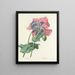 Scelta dei fiori più belli pl 063 - Pierre-Joseph Redouté — quadro incorniciato alla parete