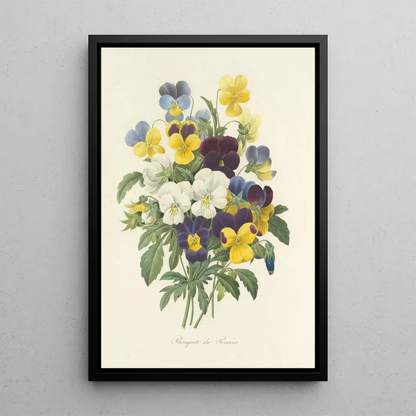 Choix des plus belles fleurs pl 067 - Pierre Joseph Redouté — quadro incorniciato alla parete
