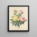 Scelta dei fiori più belli pl 094 - Pierre-Joseph Redouté — quadro incorniciato alla parete