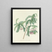 Scelta dei fiori più belli pl 103 - Pierre-Joseph Redouté — quadro incorniciato alla parete