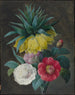 Quattro peonie e una corona imperiale - Pierre-Joseph Redouté — vista dell’opera