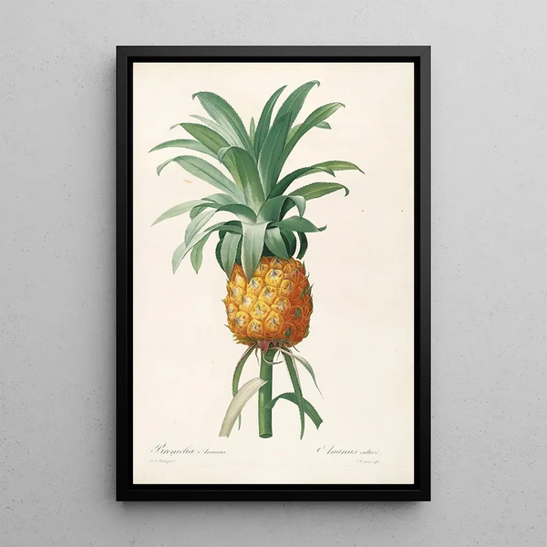 Les liliacées Pl35 - Pierre Joseph Redouté — quadro incorniciato alla parete