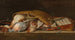 Natura morta di caccia con pollame in un cesto di vimini - Pieter Andreas Rysbraeck II — vista dell’opera