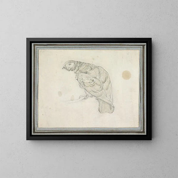 Perroquet - Pieter Casteels III — quadro incorniciato alla parete