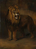 Un leone della menagerie del re Luigi Napoleone 1808 - Pieter Gerardus van Os — vista dell’opera
