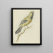 Loriot giallo Icterus nigrogularis - Pieter Gevers — quadro incorniciato alla parete