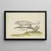 Lucertola o salamandra verso sinistra - Pieter Holsteijn — quadro incorniciato alla parete