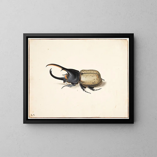 Pieter Holsteijn - En herkulesbille dynastes hercules.webp