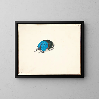 Pieter Holsteijn - En nsehornsbille scarabaeidae.webp
