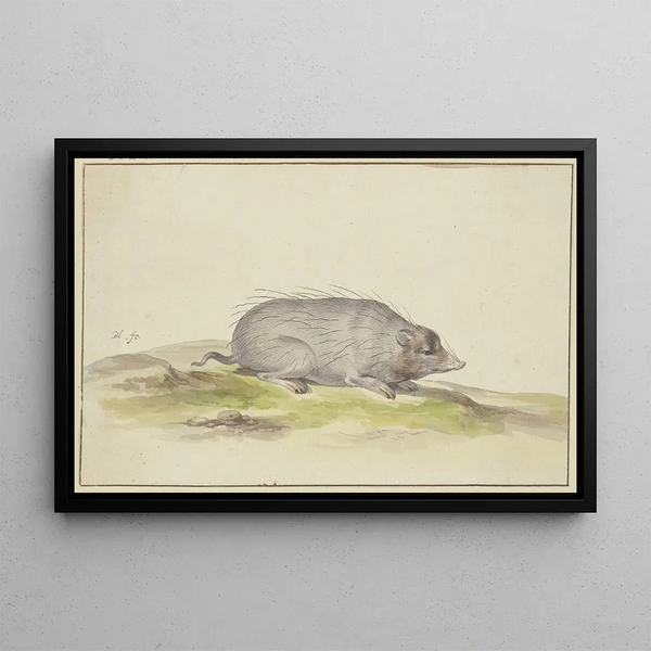 Pieter Holsteijn - Mole to the right.webp