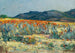 Primavera a Namaqualand - Pieter Hugo Naudé — vista dell’opera
