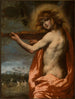 Apollon - Pietro della Vecchia — vista dell’opera