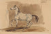 Cavallo arabo grigio Obeian - Piotr Michałowski — vista dell’opera