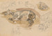 Studi e schizzi di cavalli al galoppo - Piotr Michałowski — vista dell’opera