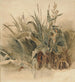 Piante acquatiche - Peter De Wint — vista dell’opera