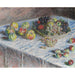 Riproduzione del dipinto Mele e uva - Claude Monet