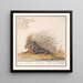 Ippocampo comune Hystrix cristata, ferro esploratore Histrix Ippocampo d'Africa - Anselmus Botius de Boodt — quadro incorniciato alla parete
