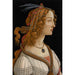 Riproduzione del dipinto Ritratto di Simonetta Vespucci come ninfa - Sandro Botticelli