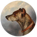 Ritratto di cane rotondo - Carl Reichert — vista dell’opera