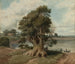 Paesaggio della costa di San Isidro - Prilidiano Pueyrredón — vista dell’opera