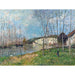 Riproduzione del dipinto Primavera sul Loing - Alfred Sisley