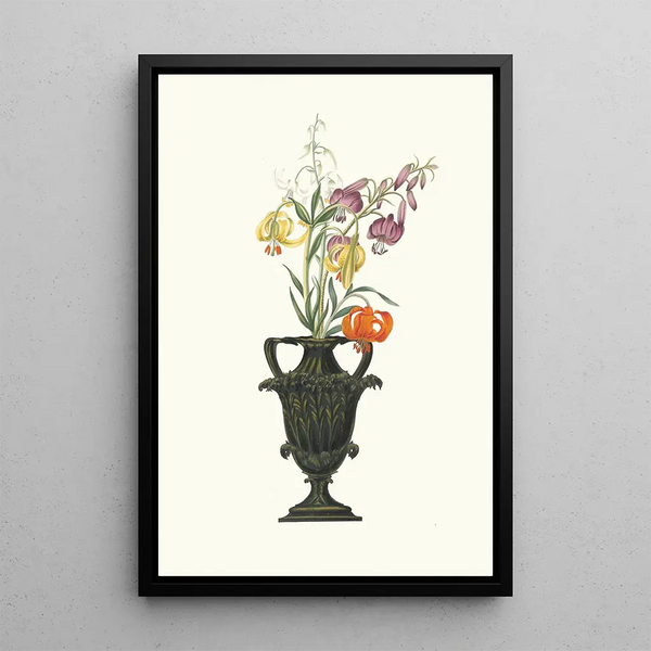 Lilium Pomponium Lilium Chalcedonicum - Priscilla Susan Bury — quadro incorniciato alla parete