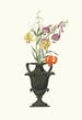 Lilium Pomponium Lilium Chalcedonicum - Priscilla Susan Bury — vista dell’opera