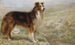 Pendant que le chien se repose, le berger peut dormir - R. S. Moseley — vista dell’opera