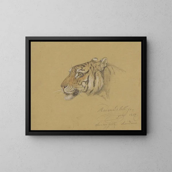 Tête de tigre - Raden Saleh — quadro incorniciato alla parete