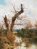 Vecchio albero sul bordo del ruscello - Ramon Tusquets — vista dell’opera