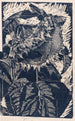 Tournesol - Reijer Stolk — vista dell’opera