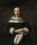 Ritratto di una dama con un ventaglio in piume di struzzo - Rembrandt van Rijn — vista dell’opera