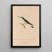 Histoire naturelle des oiseaux-mouches Pl10 - René Primevère Lesson — quadro incorniciato alla parete