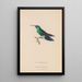 Histoire naturelle des oiseaux-mouches Pl52 - René Primevère Lesson — quadro incorniciato alla parete