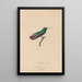 Histoire naturelle des oiseaux-mouches Pl58 - René Primevère Lesson — quadro incorniciato alla parete